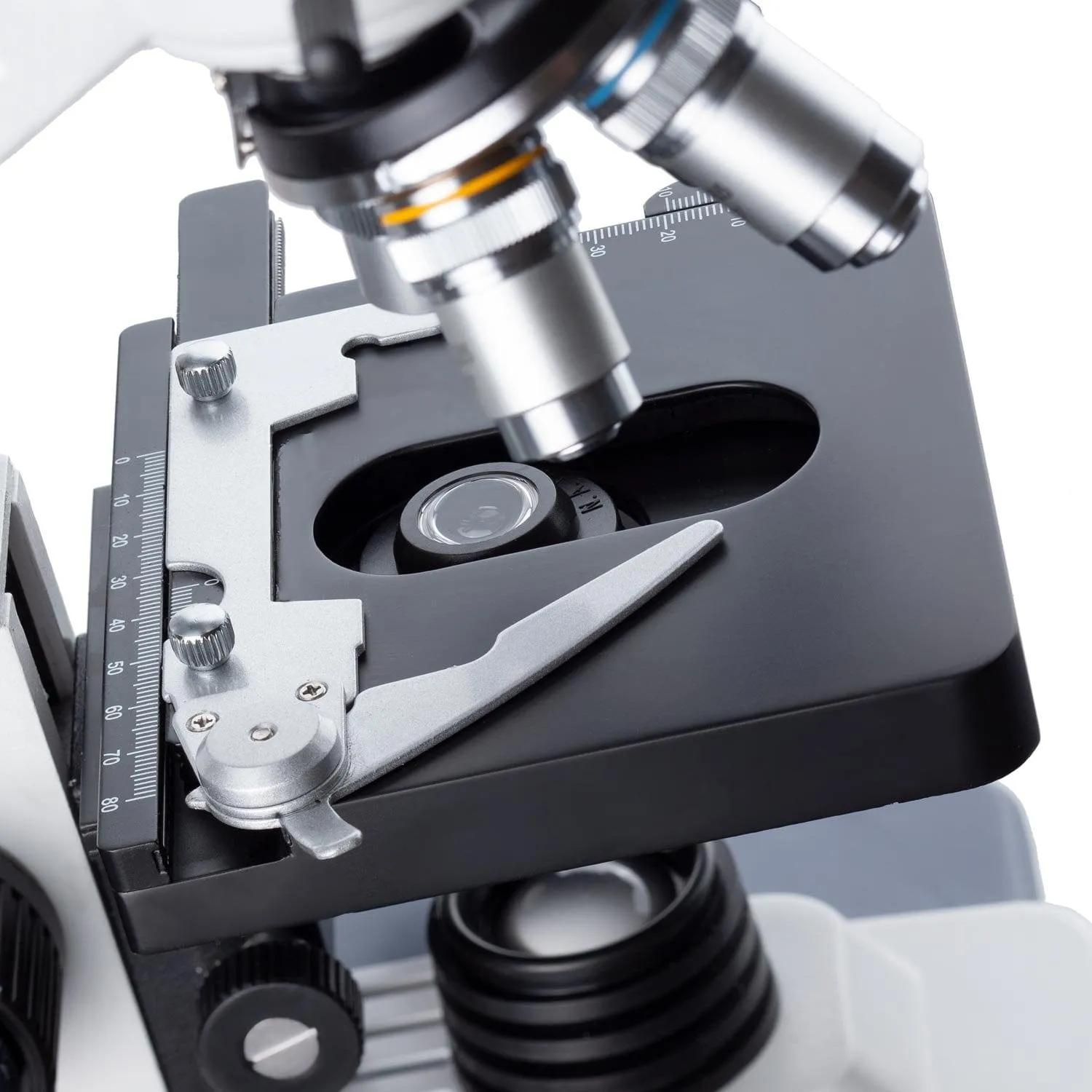 AmScope B120 Series Student & Professional LED Binocular Compound Microscope w/Siedentopf Head, 3D Mechanical Stage & Optional Digital Camera