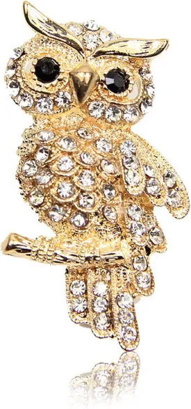 Brooches and Pins for Women Vintage: Brooch Pins for Women Rhinestone Brooch and Pin Crystal Brooch Pin Fashion Broche Gifts