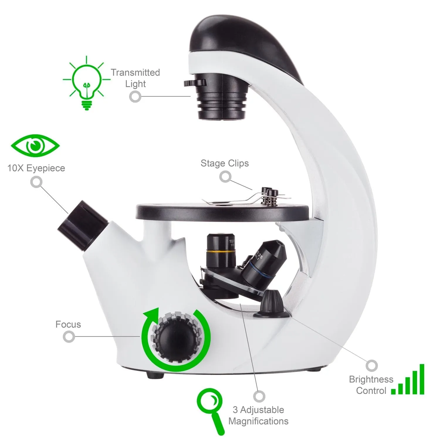IQCrew By AmScope IN50 Series Inverted Compound Microscope 40X-500X Magnification with Digital Camera, Kid's Friendly Software and Introductory Insect Exploration Kit