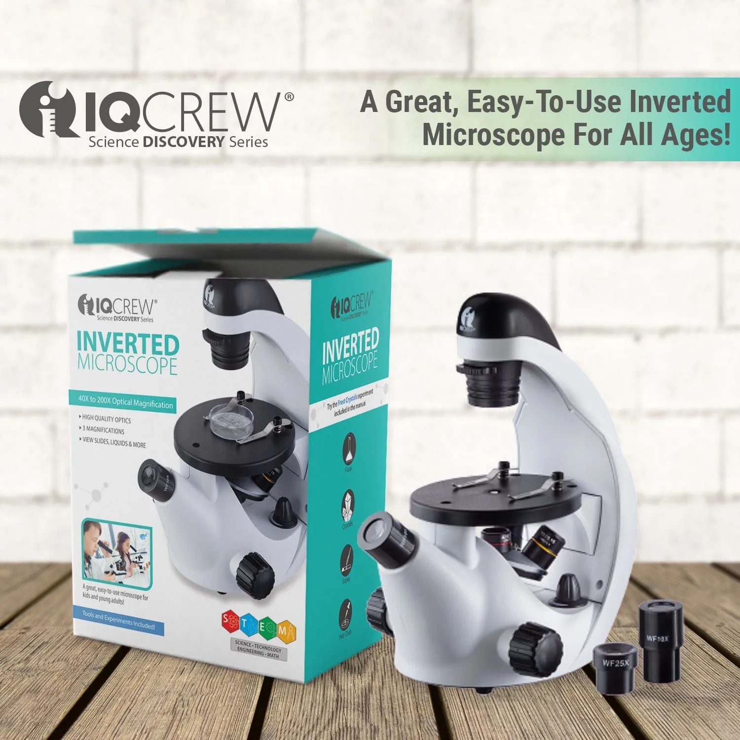IQCrew By AmScope IN50 Series Inverted Compound Microscope 40X-500X Magnification with Digital Camera, Kid's Friendly Software and Introductory Insect Exploration Kit