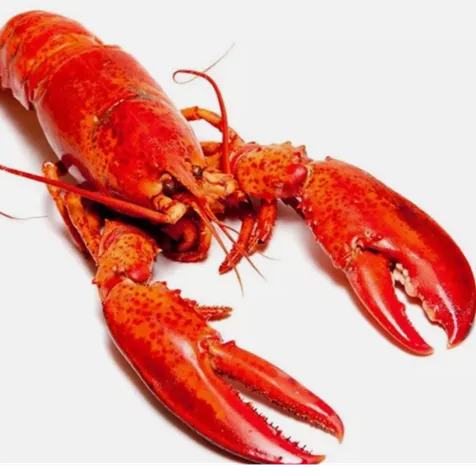Lobster Thermidor: Friday 1 November 2024